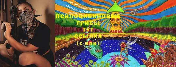 spice Алексин