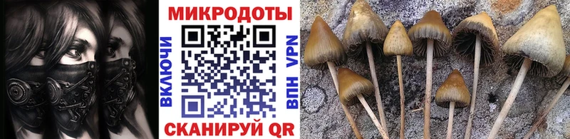 Псилоцибиновые грибы Psilocybine cubensis  МЕГА маркетплейс  Бирск  купить закладку 